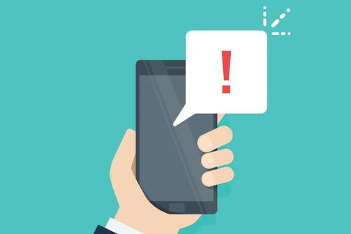 溢价上天业绩落地，网宿科技拟斥资8亿收购，标的资产问题多引监管问询